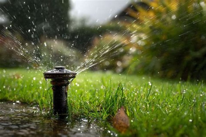 What are wet sprinklers?