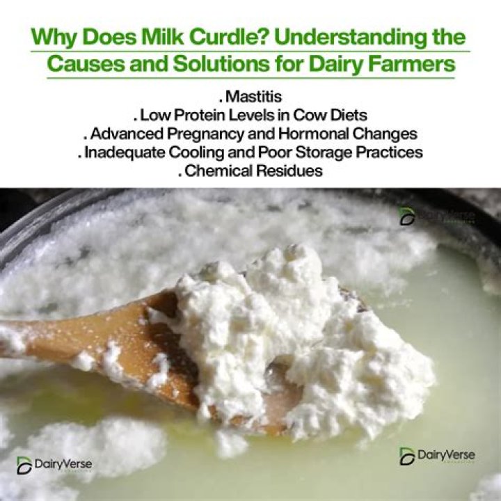 What causes curdling in milk?