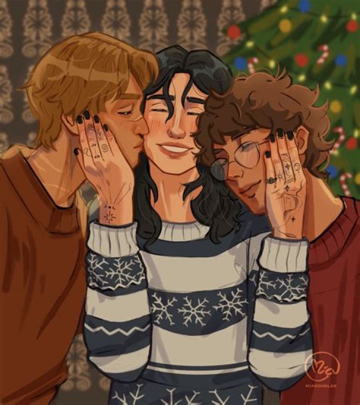 What did Sirius and James do to Snape?