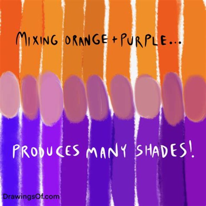 What do purple and orange make?