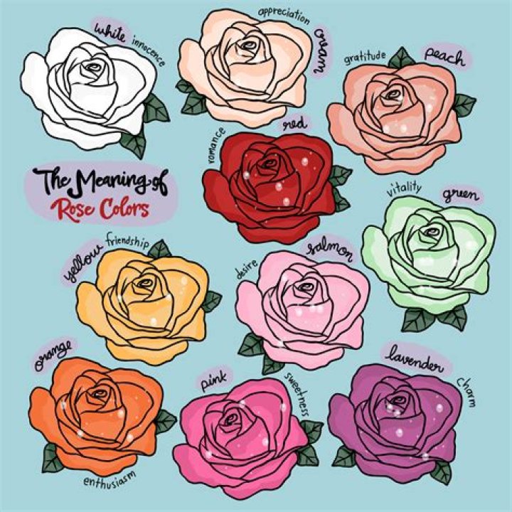 What does a green rose mean?