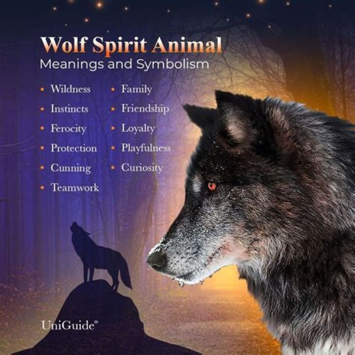 What does a wolf personality mean?