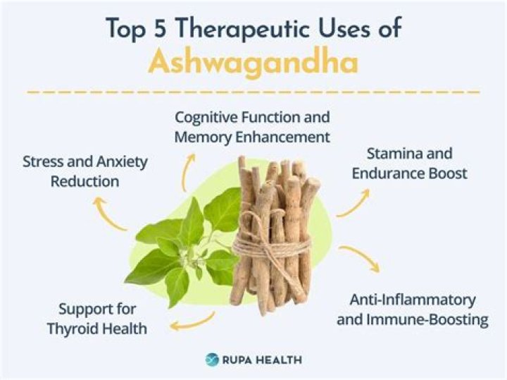 What does ashwagandha do to your brain?