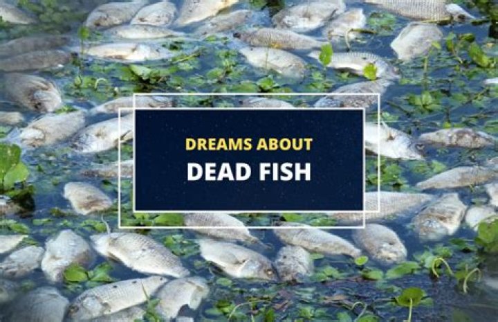 What does holding a dead fish mean?
