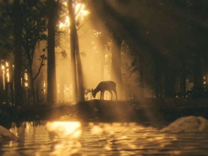 What does the deer symbolize in rdr2?