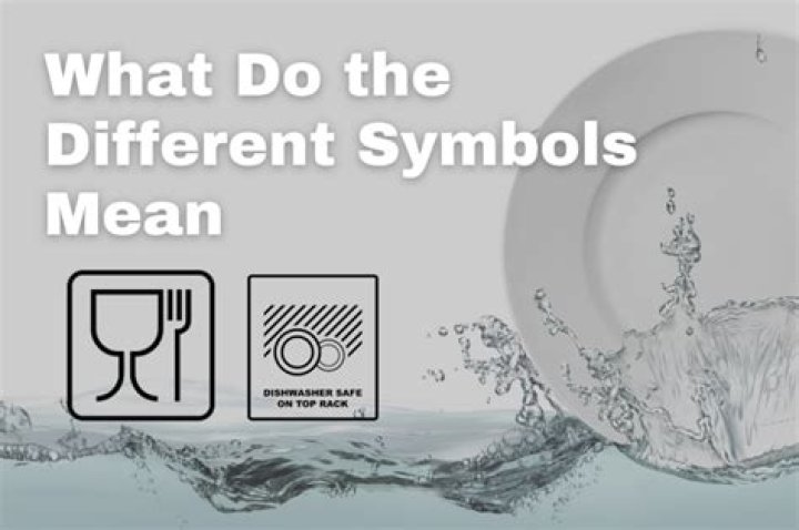 What does the S symbol mean on a dishwasher?