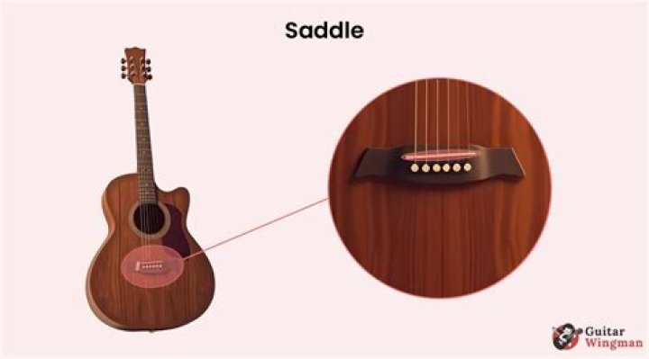 What is a saddle gall?