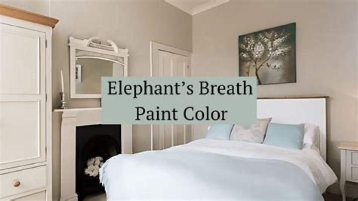 What is a white elephant in the room?