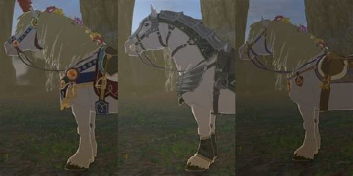 What is Link's horse's name?