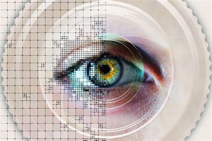 What is retina biometrics?