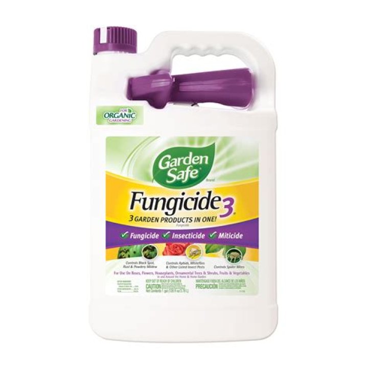 What is the best fungicide for powdery mildew?