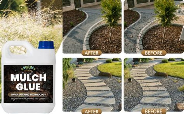 What is the best time to apply mulch?