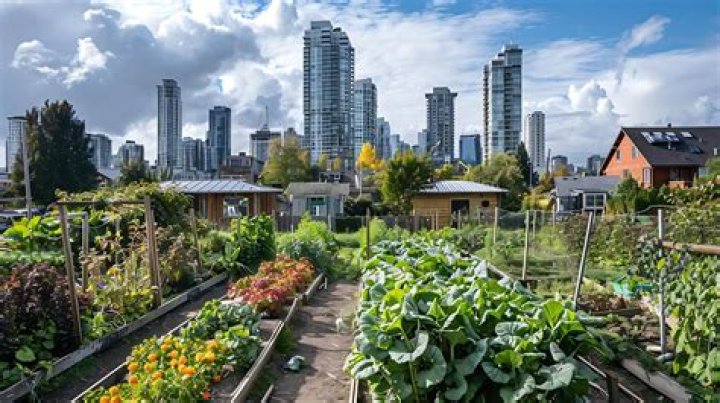 What is urban farming and gardening?