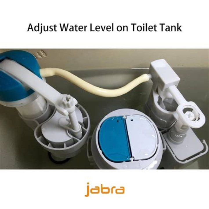 What kills algae in toilet tank?