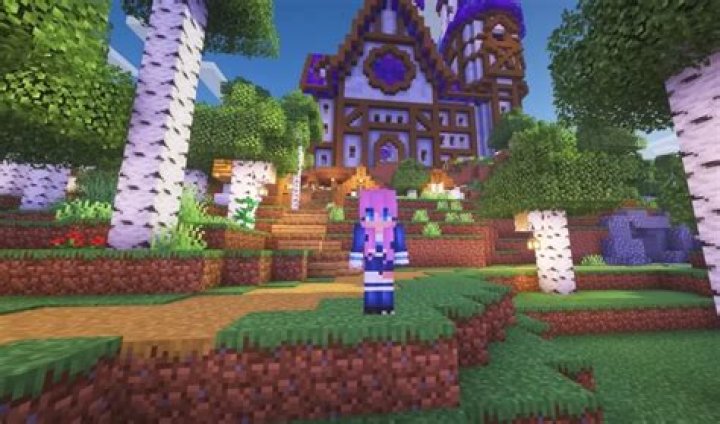 What Minecraft version does dream use?