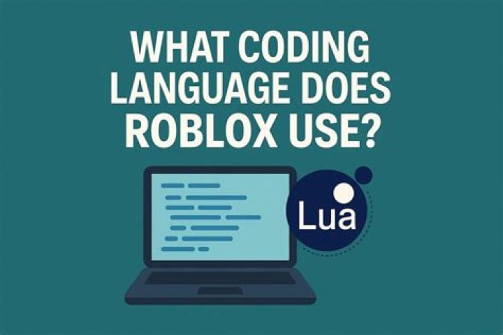 What programming language is Roblox?