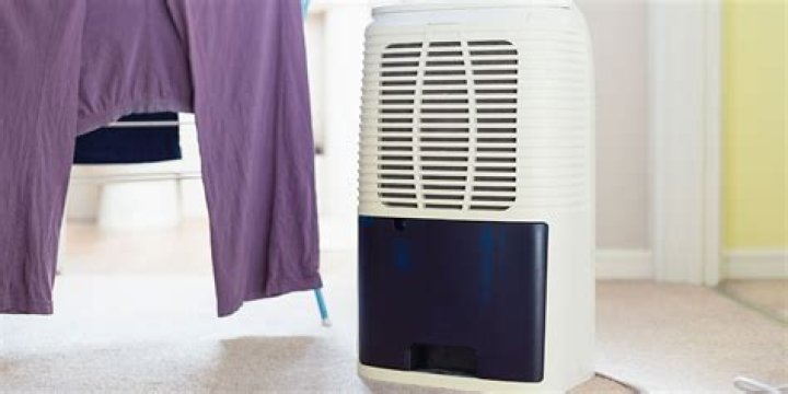 What setting should a basement dehumidifier be set at?
