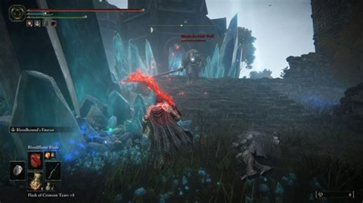 What to do after fighting Blaidd?