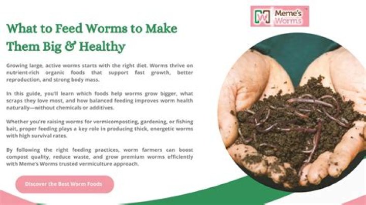 What to feed worms to make them big?