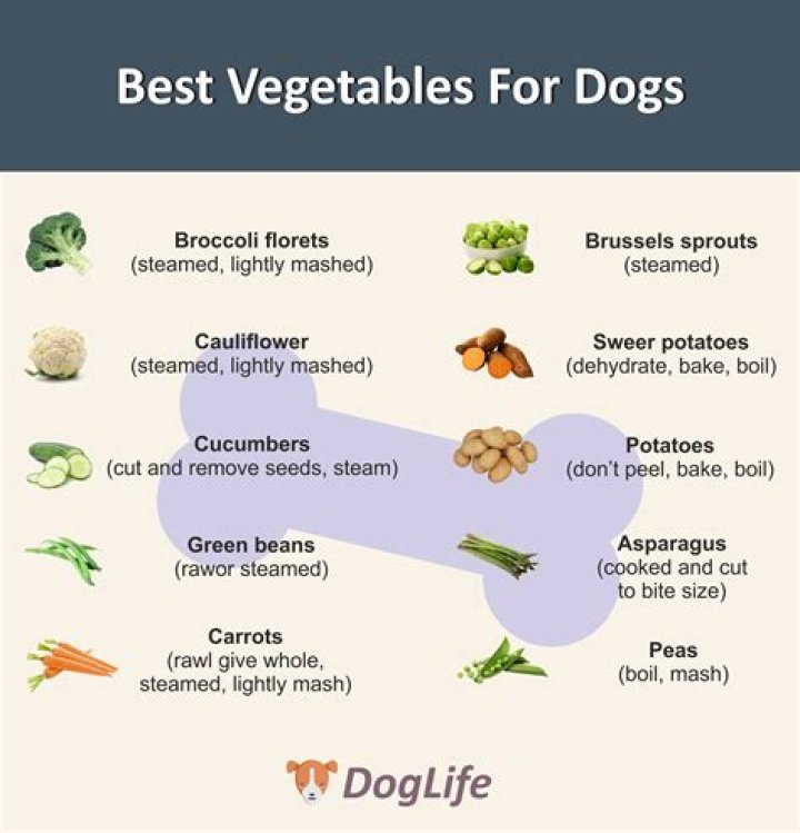 What vegetables can puppies eat?