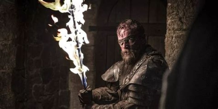 What was Beric Dondarrion purpose?