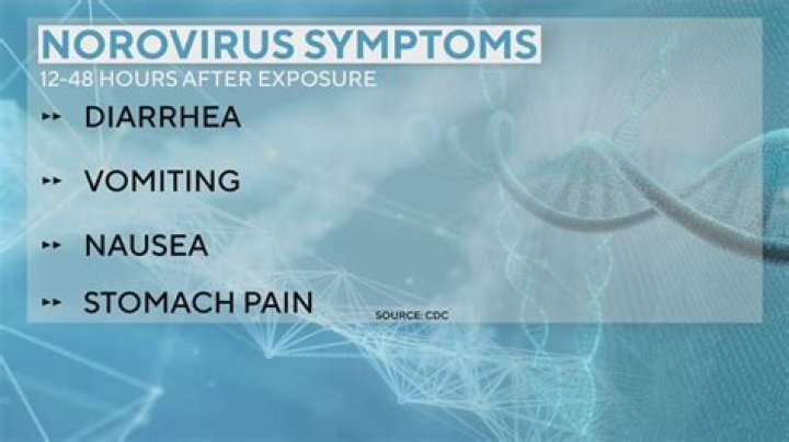 When is norovirus most contagious?