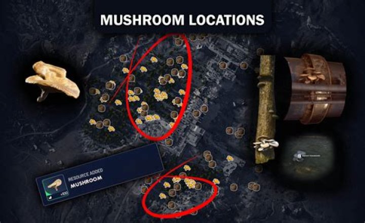 Where is the best place to look for gold nuggets?