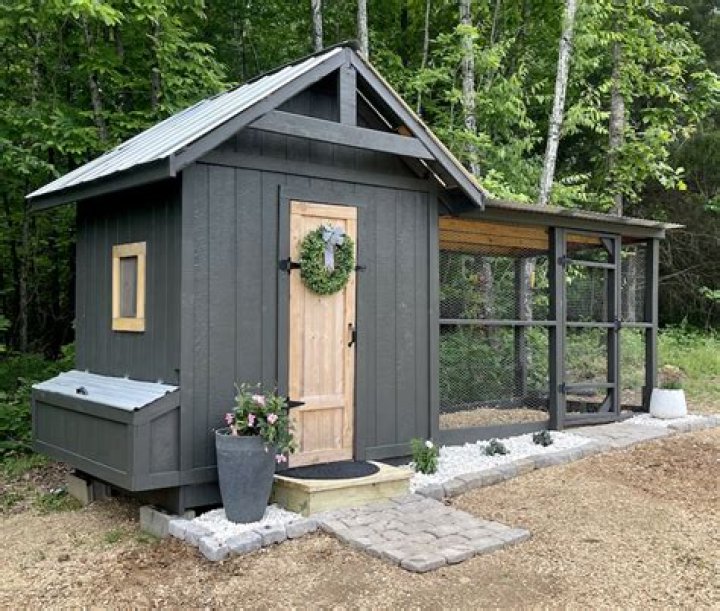 Where is the best place to put a chicken coop?