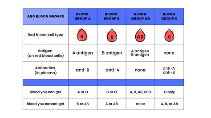 Which blood type is intelligent?