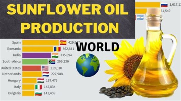 Which country produces most sunflower oil?
