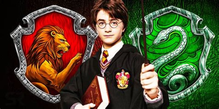 Which teacher is head of Gryffindor?