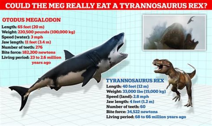 Who has a stronger bite force T. rex or megalodon?