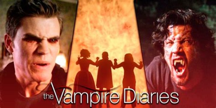 Who has more fans in Vampire Diaries?