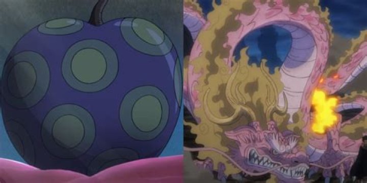 Who has Zoan Devil Fruit?