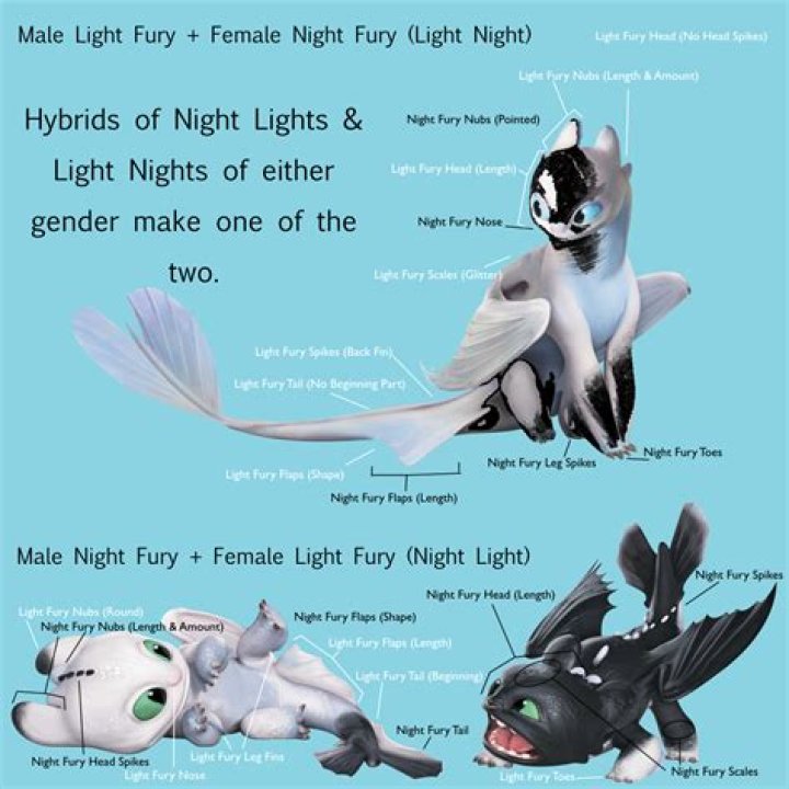 Who is the oldest night light?