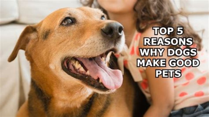 Why are dogs so soft after a bath?