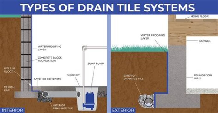 Why do all my drains stink?