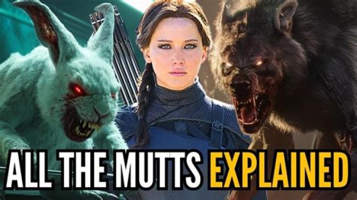 Why is Mutt Schitt estranged?