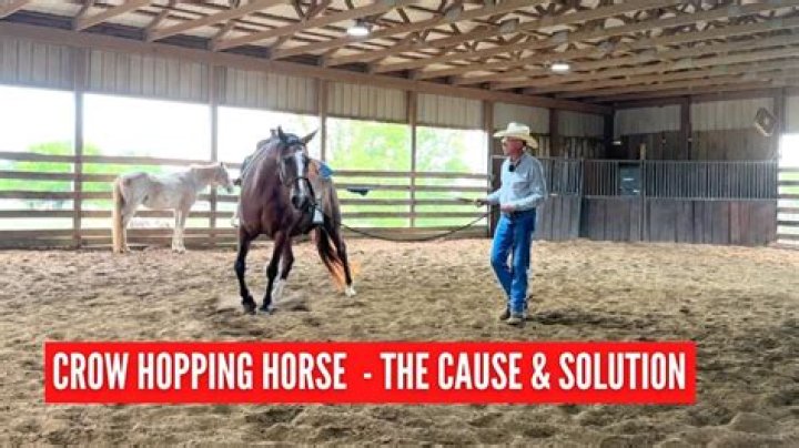 Why is my horse crow hopping?