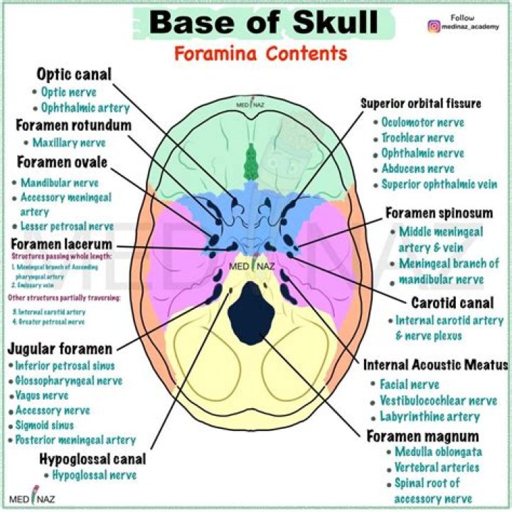 Why would Stone Age humans carve holes through the skull?